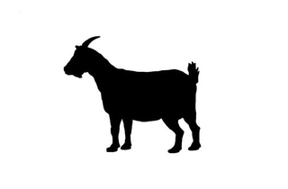 a product from the Goat's category